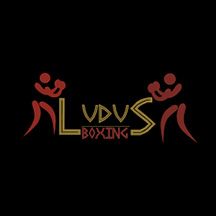 Ludus Boxing